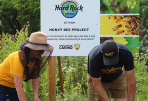 Honey bee project