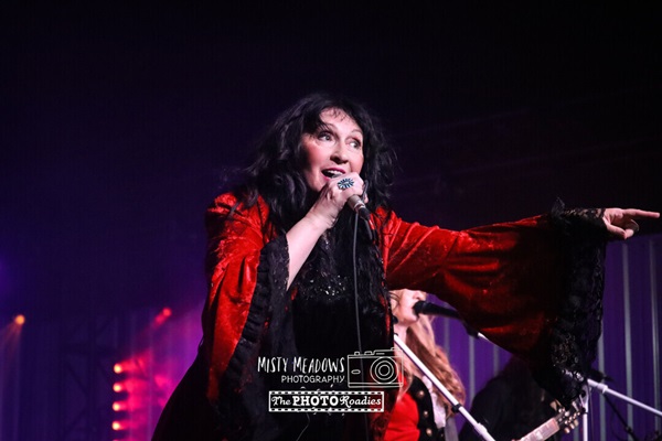 Performer at a concert